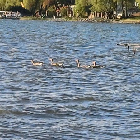 Gosciniec Twoje Mazury Nad Jeziorem Sniardwy Tuz Obok Plazy Nowe Guty Exterior photo